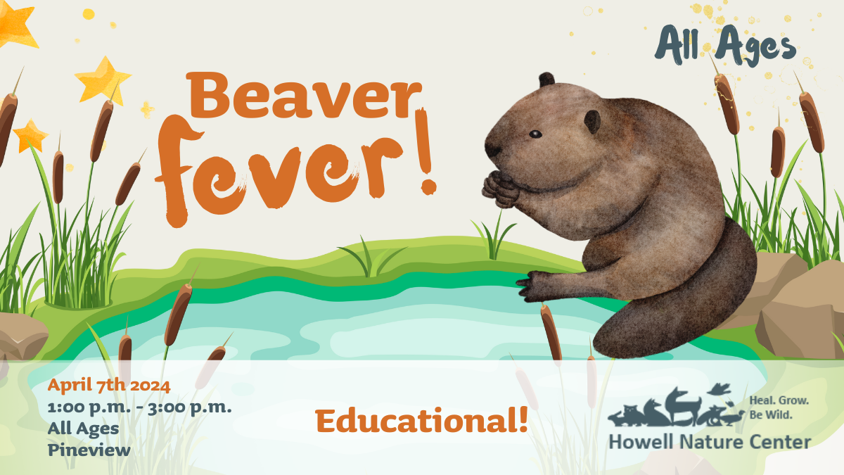 beaver-fever-event