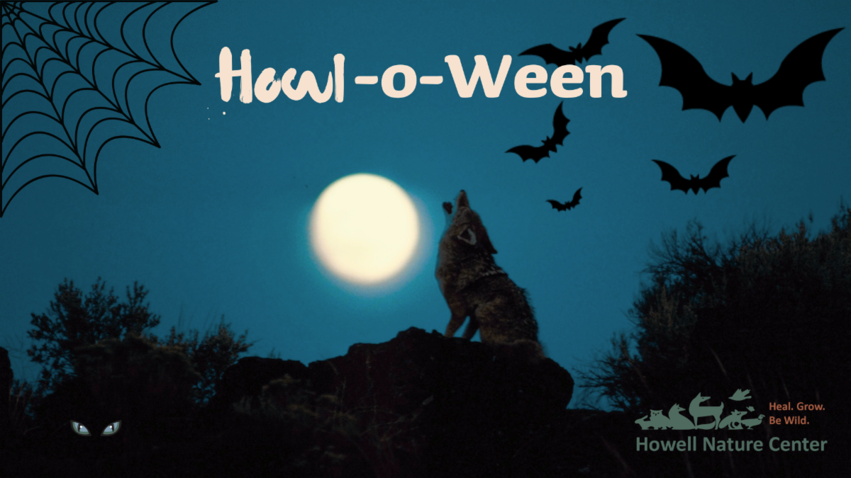 Howl-O-Ween October 26th, 2024 5:00pm – 7:00pm